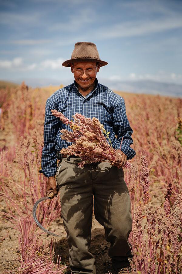 Solid Food - discover the mother of grains