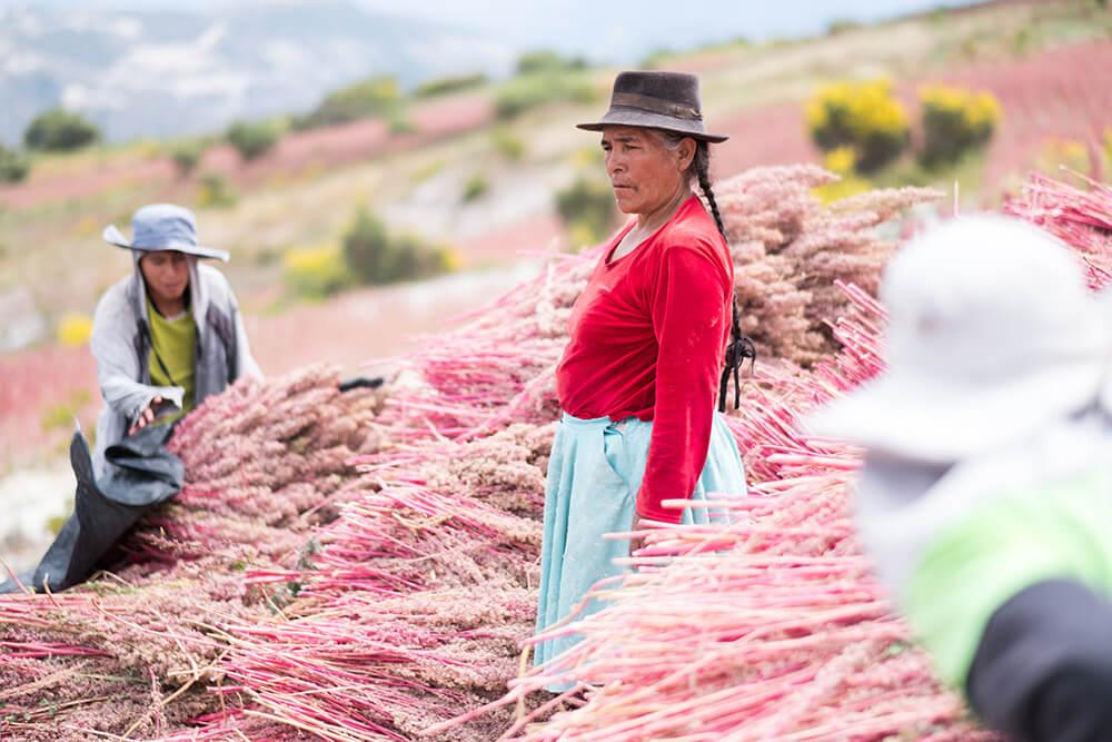 Solid Food - Farmers in Peru
